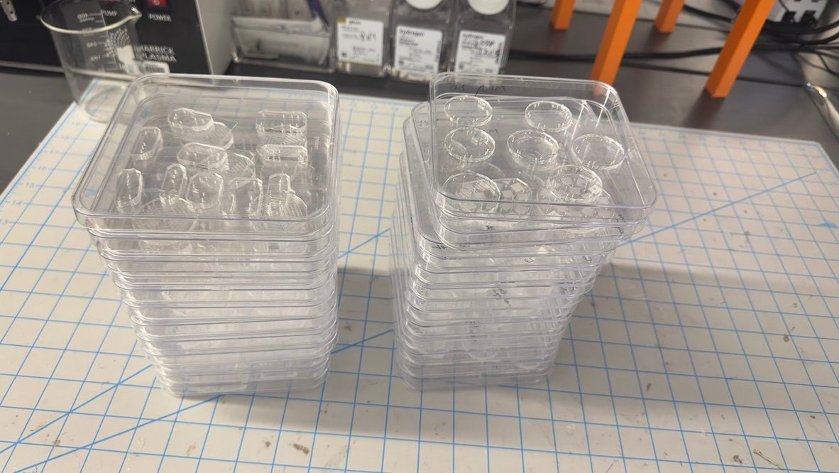Two stacks of clear plastic trays holding batches of microfluidic devices on a cutting mat