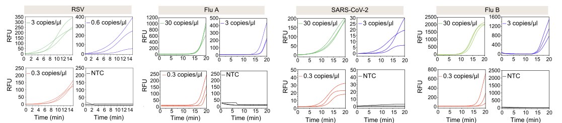 Four panels of small line charts, one each for RSV, influenza A, SARS-CoV-2 and influenza B, with fluorescence rising over twenty minutes at several concentrations and flat no-template controls